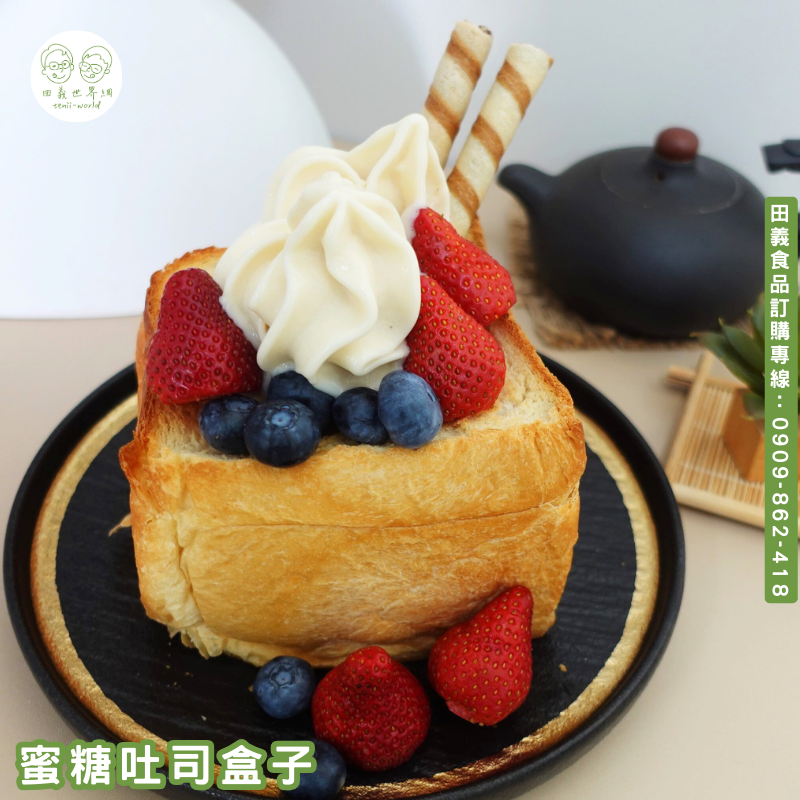 植物高蛋白霜淇淋粉-豆漿風味(全素)